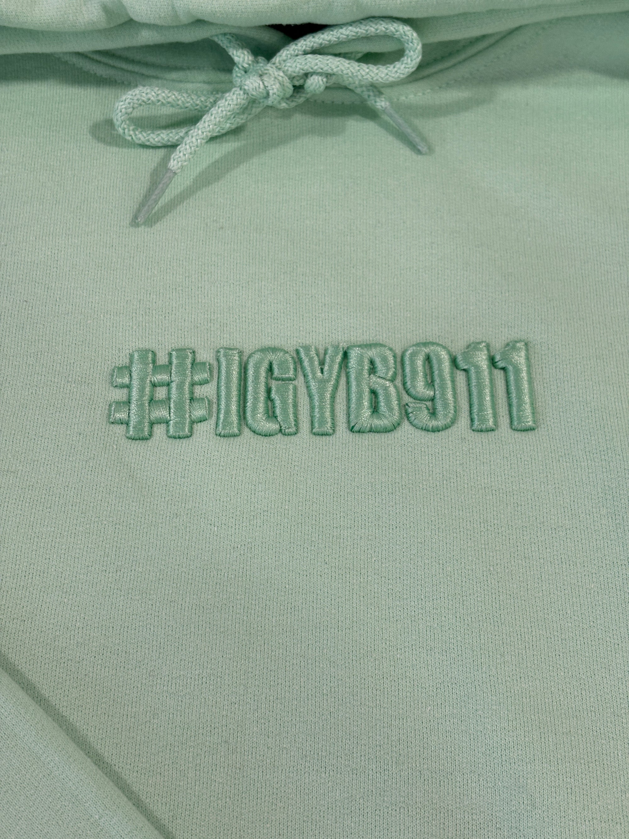 Puff Embroidery Hoodie