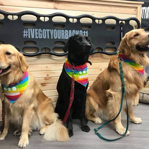 Dog Bandana