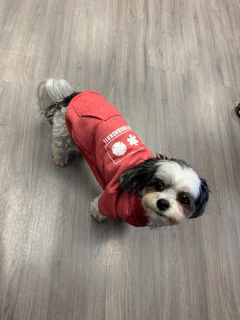 Dog Hoodies - please see reference photos