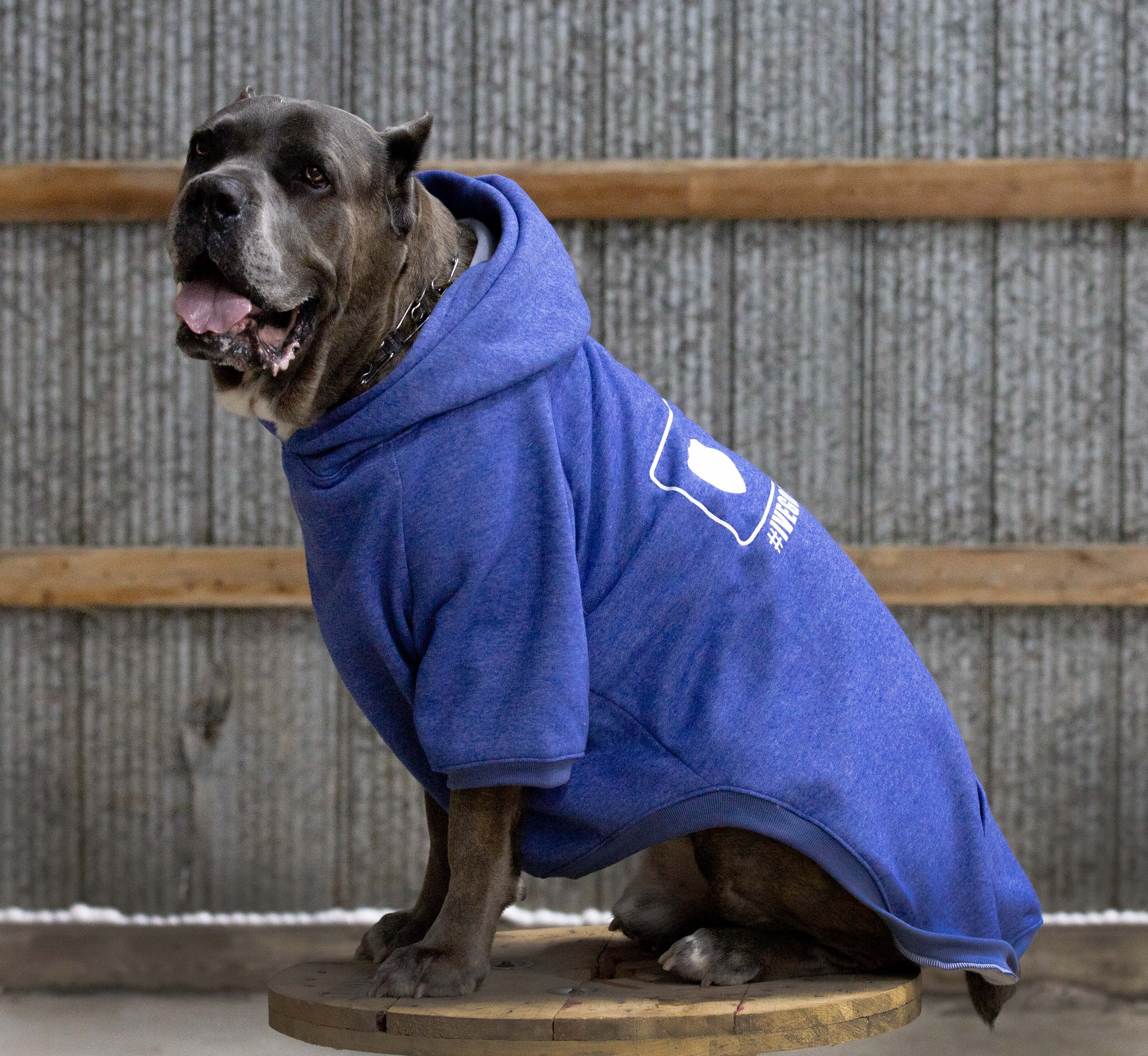 Dog Hoodies - please see reference photos