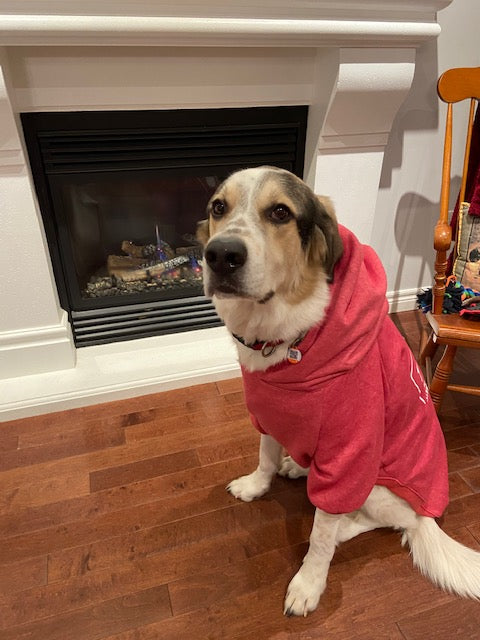Dog Hoodies - please see reference photos