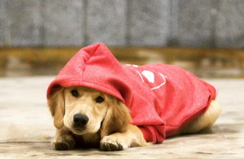 Dog Hoodies - please see reference photos