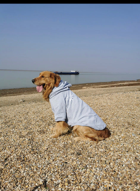 Dog Hoodies - please see reference photos