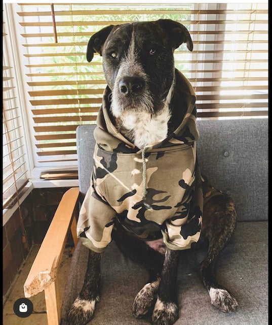 Dog Hoodies - please see reference photos