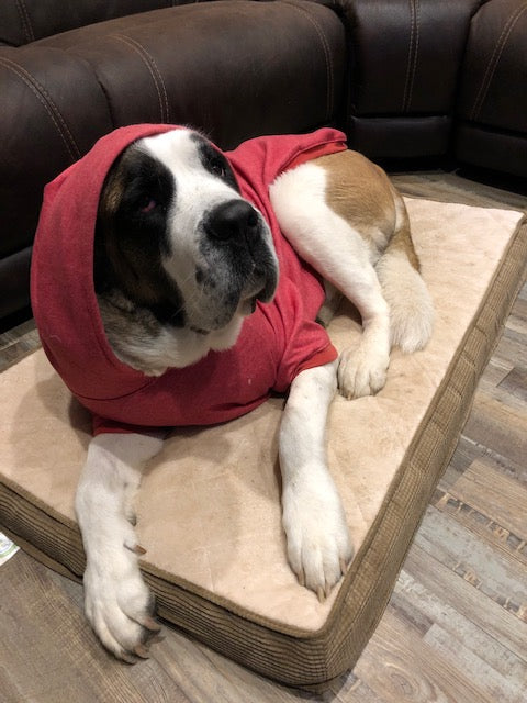 Dog Hoodies - please see reference photos