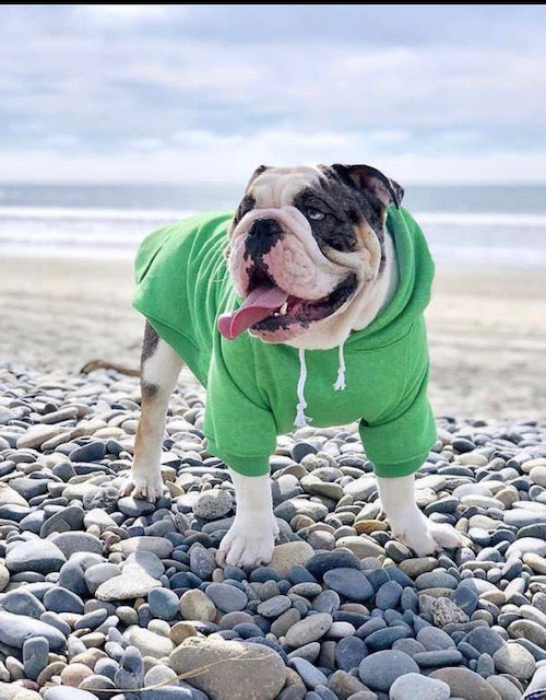 Dog Hoodies - please see reference photos