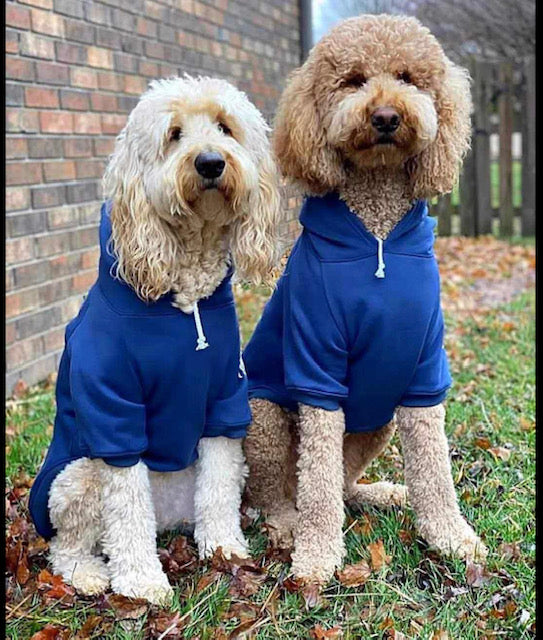 Dog Hoodies - please see reference photos