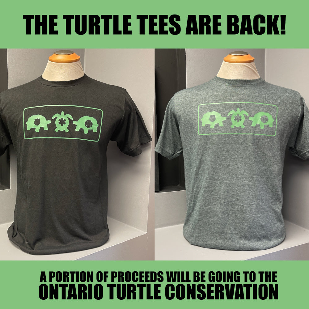 Turtle T-Shirt