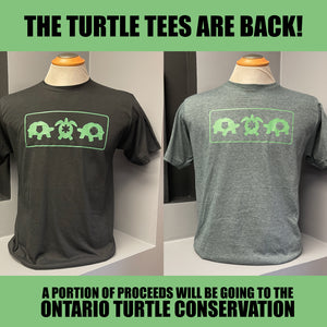 Turtle T-Shirt